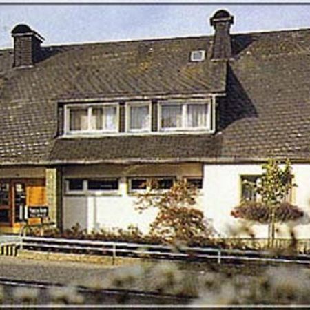 Pension Braun Winterberg Eksteriør bilde